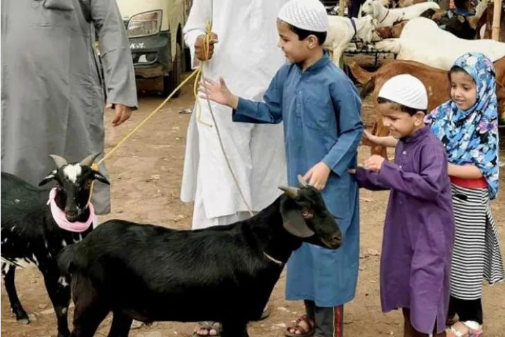 Makna Mendalam Idul Adha: Mengapa Hari Raya Qurban Penting Bagi Umat Muslim?