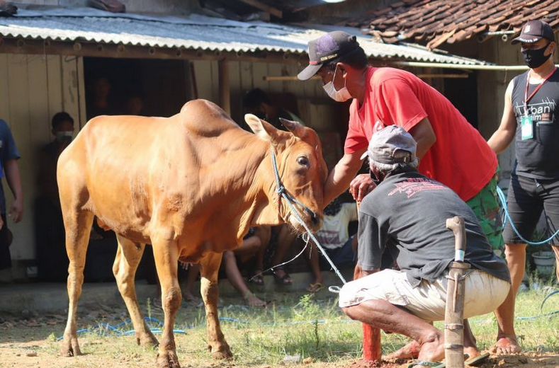 Tradisi Idul Adha di Berbagai Negara: Perayaan Qurban dalam Ragam Budaya