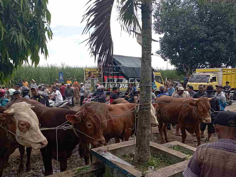 Persiapan Idul Adha: Panduan Lengkap untuk Menyambut Hari Raya Qurban